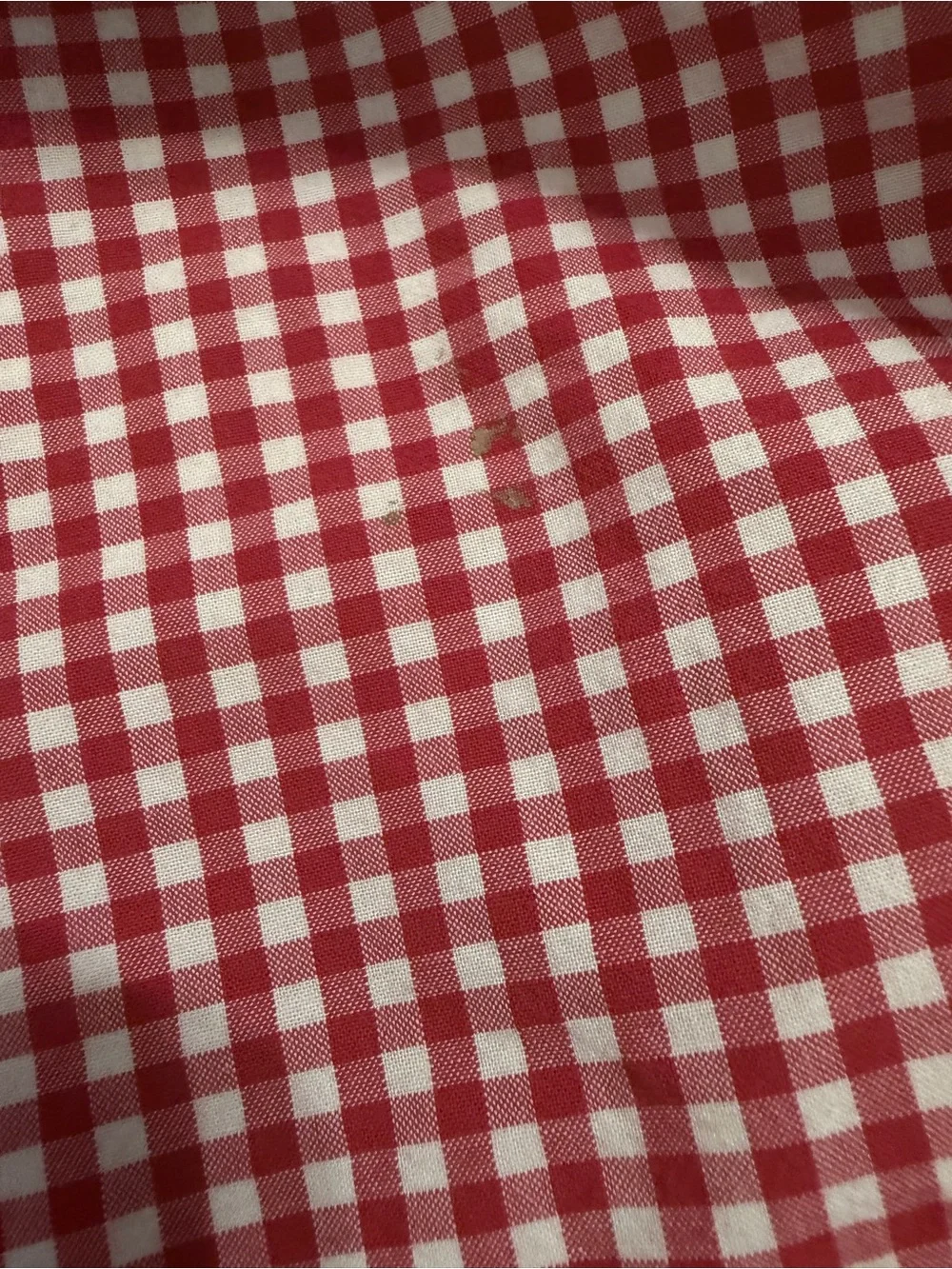 Pottery Barn Kids Twin Red Gingham Check Sheet Set 2 Pc Discontinued